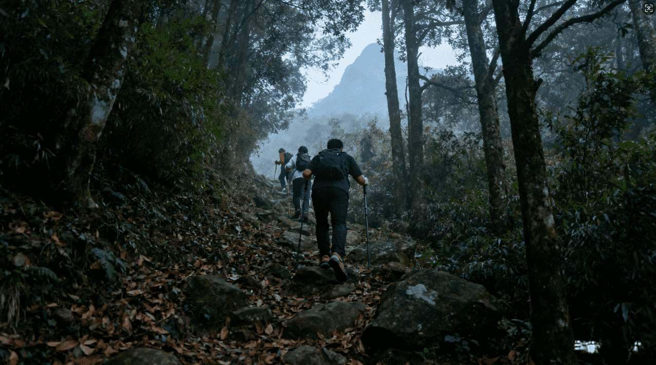 怎样通过风驰加速器实现游戏零延迟上网体验